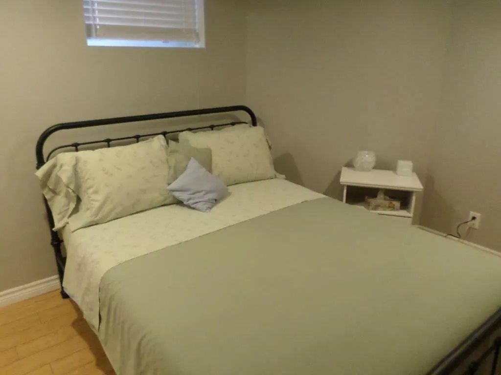 Fantastic And Modern Downtown 1-Bed Basement Apt., Parking Wi-Fi And Netflix Included Ottawa