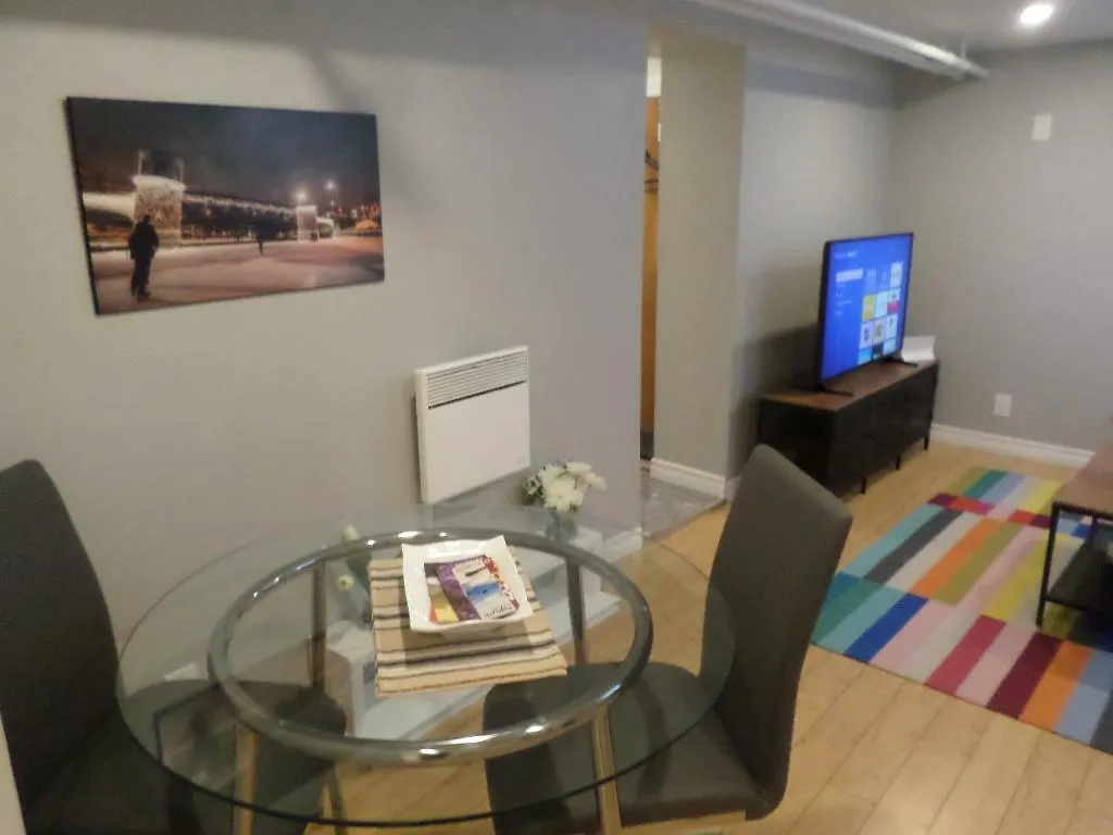 Appartement Fantastic And Modern Downtown 1-Bed Basement Apt., Parking Wi-Fi And Netflix Included Ottawa