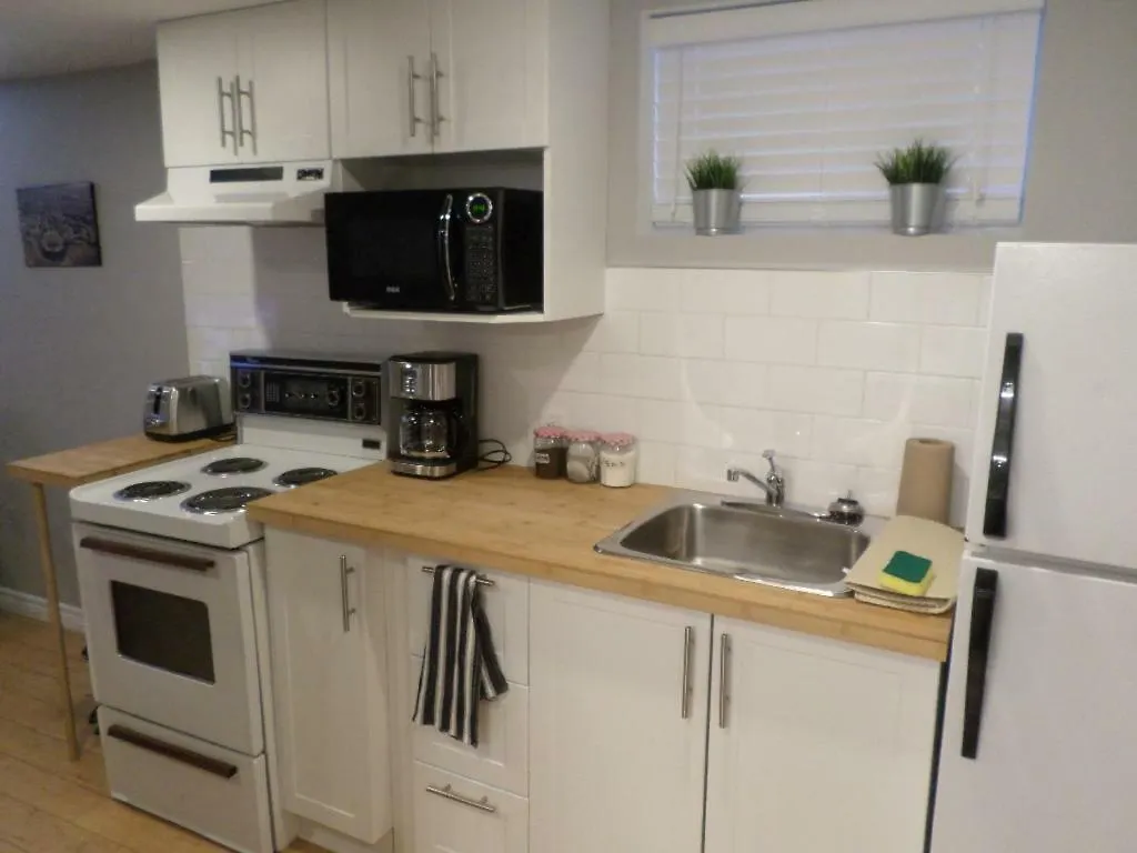 Fantastic And Modern Downtown 1-Bed Basement Apt., Parking Wi-Fi And Netflix Included Ottawa Canada